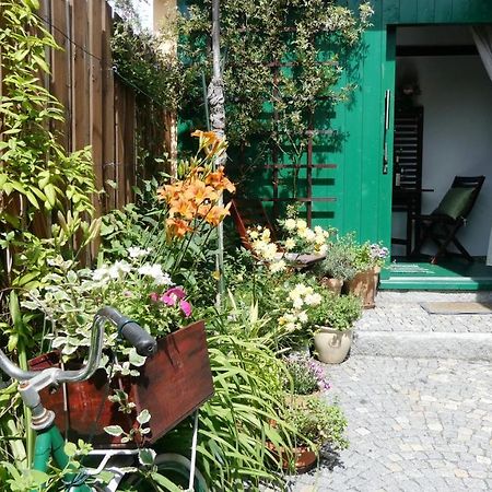 Apartman Horšovský Týn Buitenkant foto